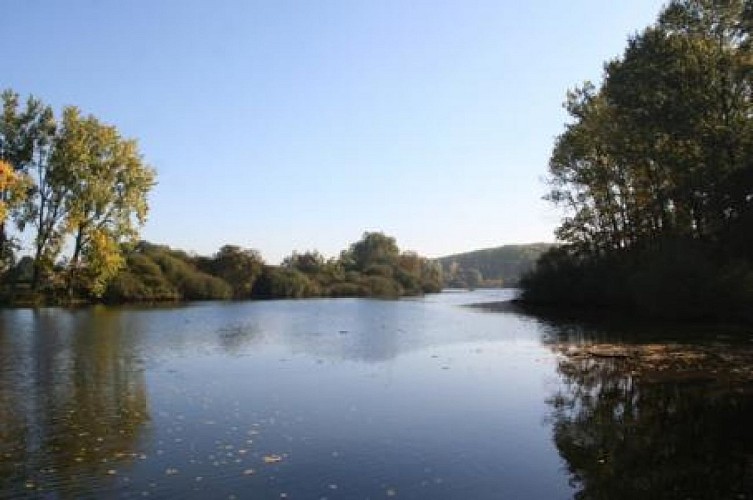 L'espace naturel des Périseaux