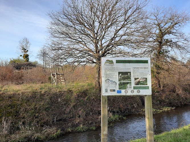 Circuit vert 11km à Vienne en Val