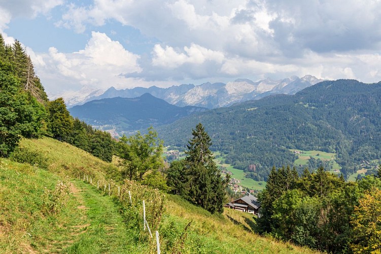 Sentier des Millières