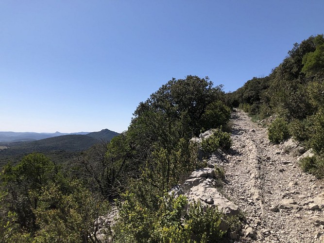Mont Saint-Baudille, par la face Sud