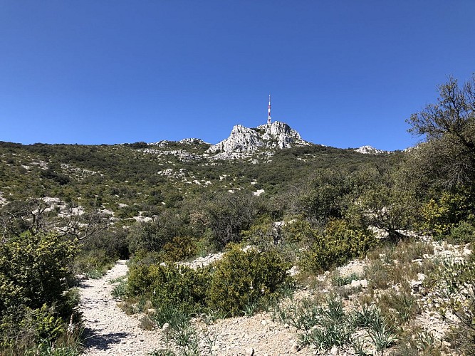 Mont Saint-Baudille, par la face Sud