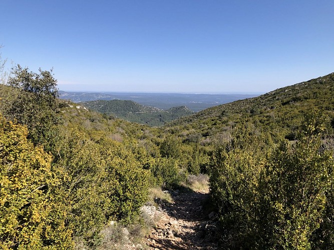 Mont Saint-Baudille, par la face Sud