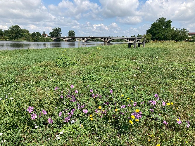 Sentier des Gours_Feurs