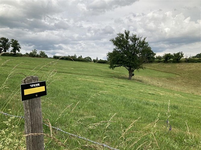 Sentier du site Médiéval de Donzy_Feurs