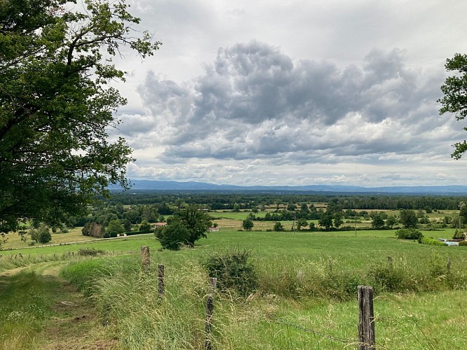 Sentier du site Médiéval de Donzy_Feurs