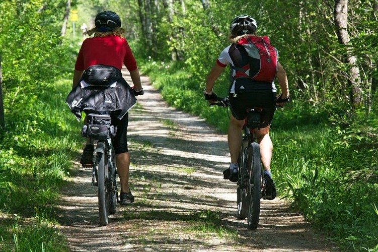 Route Fontainebleau-Barbizon, by bike