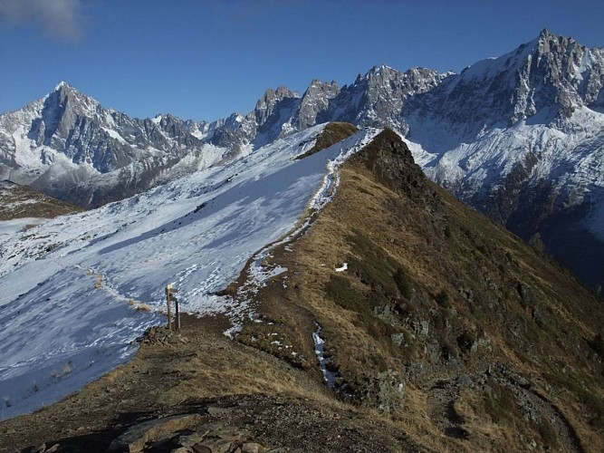 Tour des Aiguilles Rouges