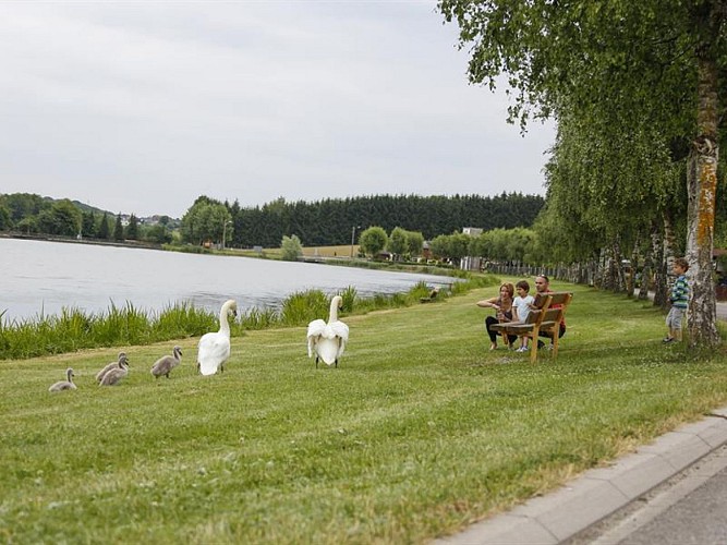 Etang Saint-Vit - Neufgrange