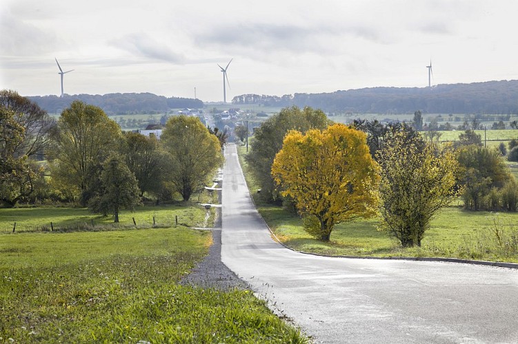 Rando Woelfling-les-Sarreguemines