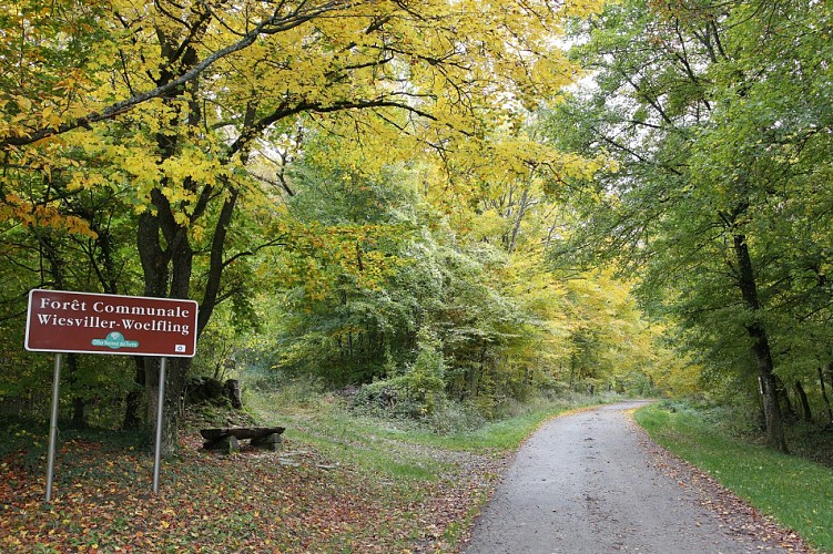Rando Woelfling-les-Sarreguemines