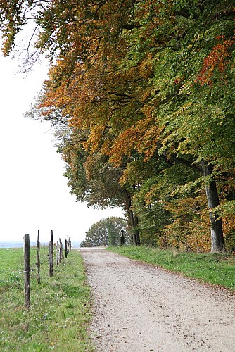 Rando Woelfling-les-Sarreguemines