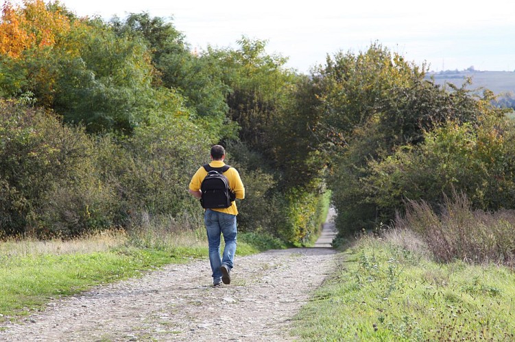Rando Woelfling-les-Sarreguemines