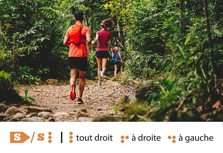 Huy - Trail Permanent S 12 km - Départ : Solières