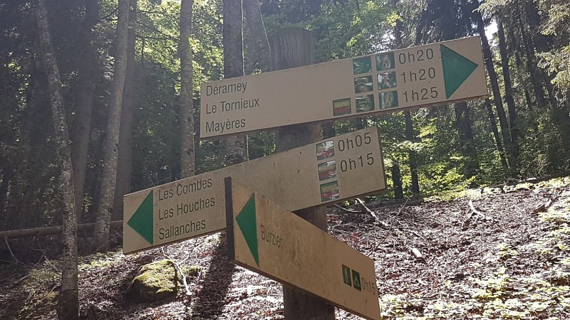 Hiking Trail: Le Déramey via the Circuit des Coteaux