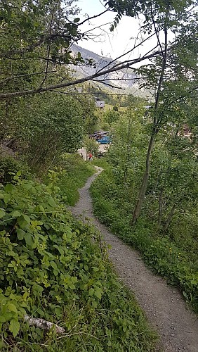 sentier pédestre : sentier forestier de Mayères