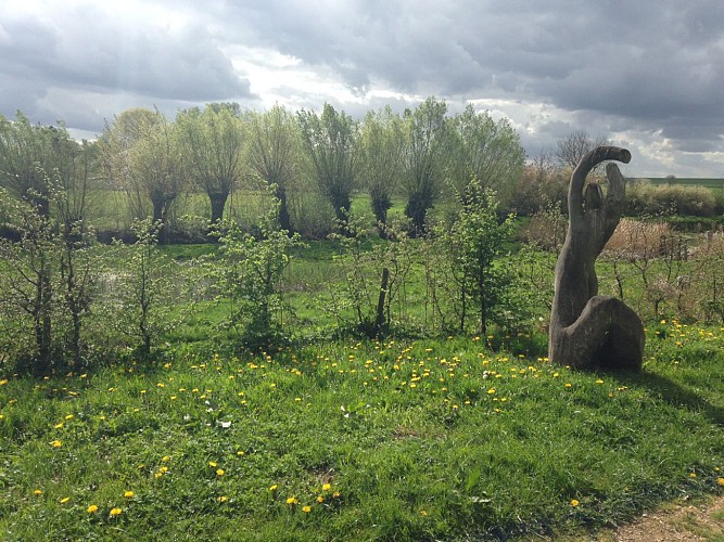 À la découverte des zones d’immersion temporaire