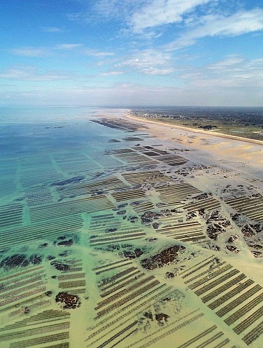 Circuit de l'huître - Blainville-sur-Mer