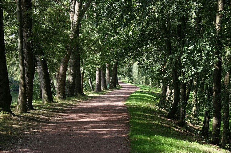 WANDERWEG : CIRCUIT DE LA SARRE IN SARREBOURG