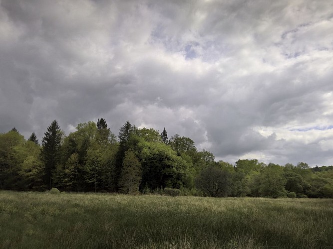 Base Uni'Vert Trail des Monts d'Ambazac - Le sentier des Puys_1
