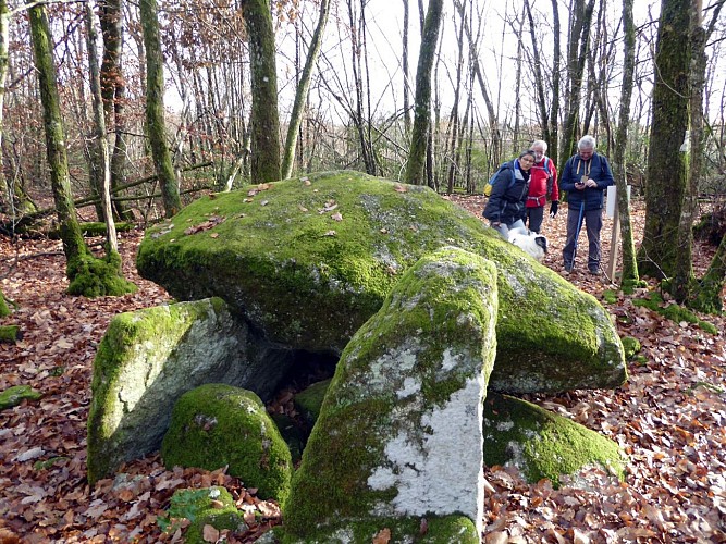 Base Uni'Vert Trail des Monts d'Ambazac - Le sentier du dolmen