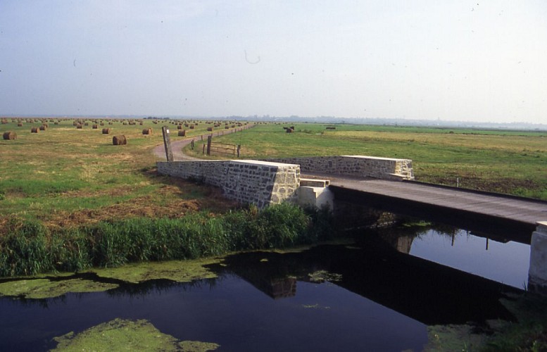 Vallées de la Sève et de la Taute - en voiture