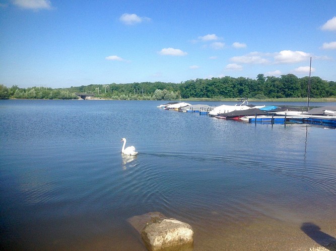 WANDERWEG : LA CORNÉE D'ARGENT IN MITTERSHEIM