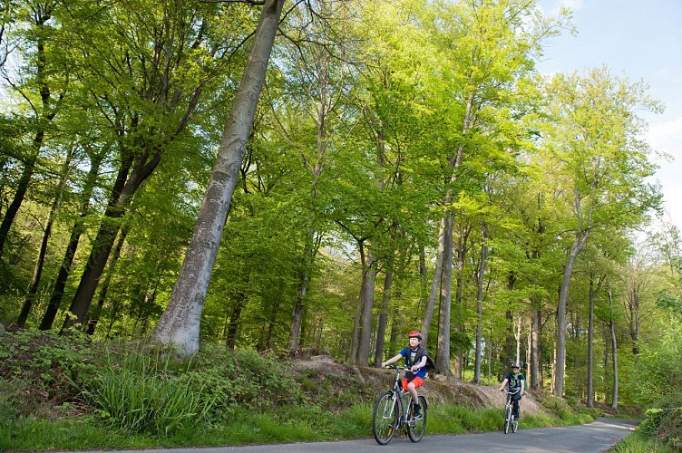 Petite échappée verte à vélo à Silly