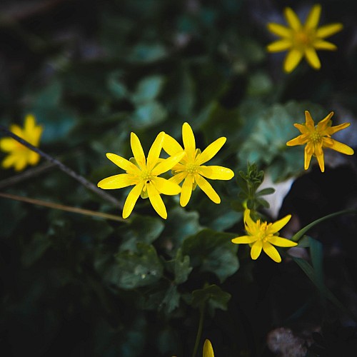 Randonnée au pays de Bouillon