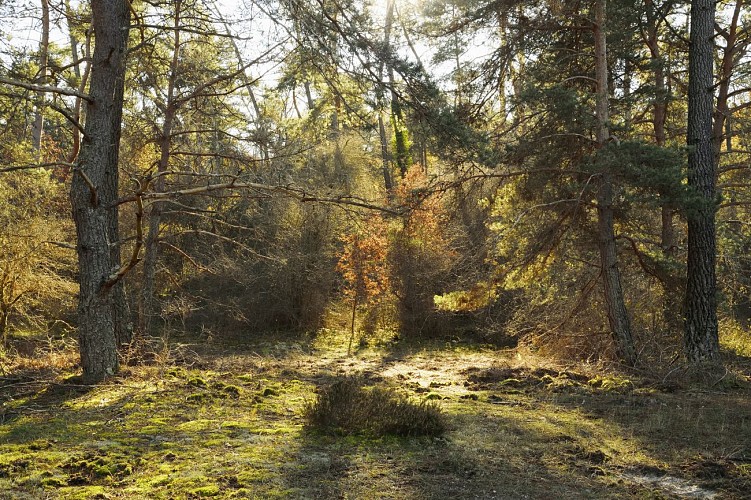 Sentier de Sucremont