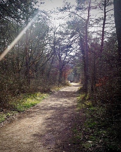 Promenade de Sucremont