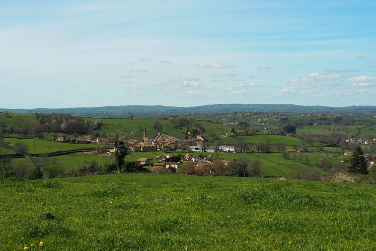 Panorama