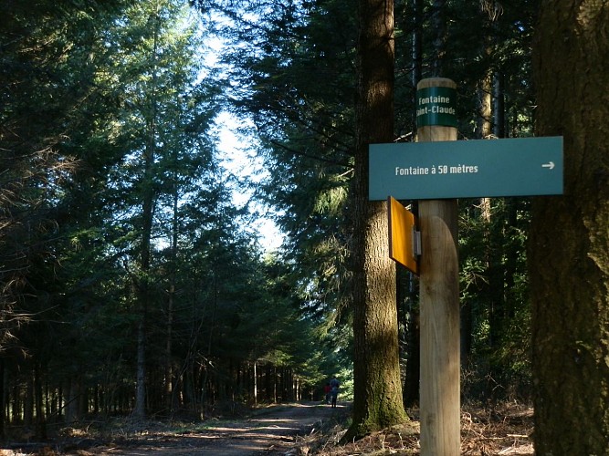 Chemin près de la fontaine Saint Claude