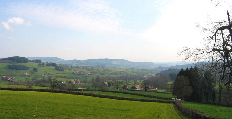 TRIVY - Chemin belles vues 002 recadrée