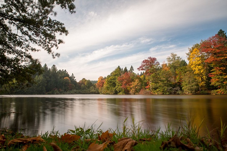 Etang arboretum Dompierre-les-Ormes