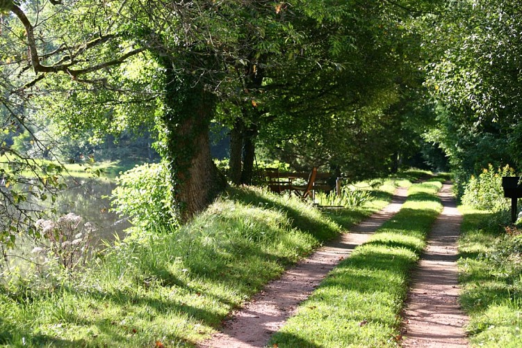 Chemin randonnée/Montmelard
