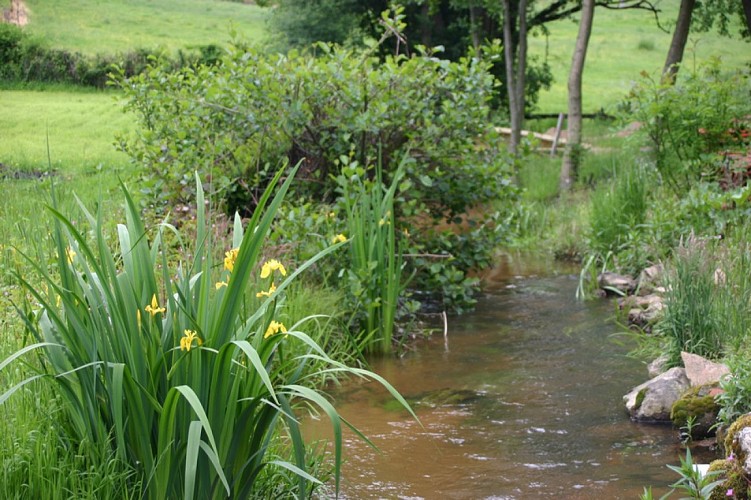 Ruisseau Moulin Vigousset/Montmelard