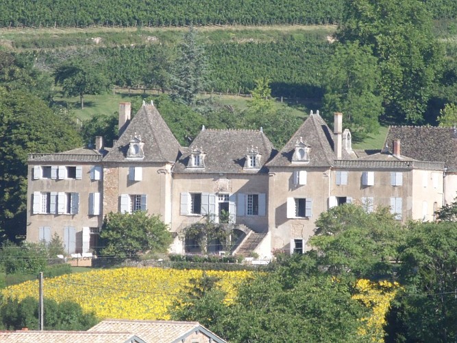 château de Monceau