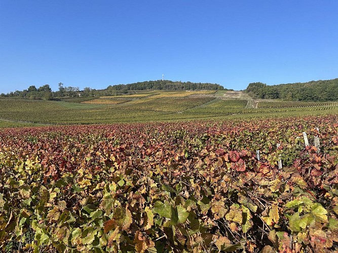 Le tour du Mont Bouzu