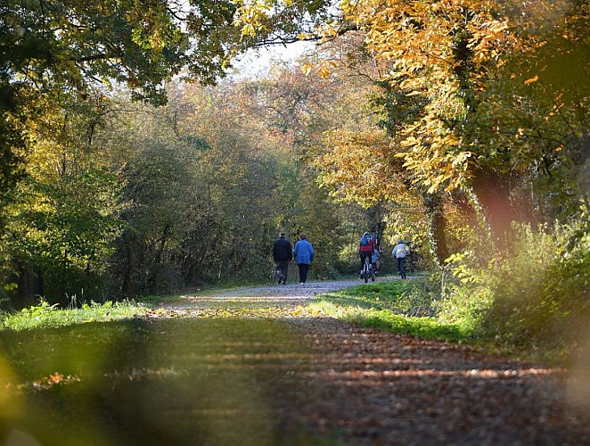 Baugy_ITIBOU071159927