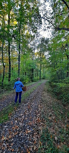 Mazille randofiche @V CECCOTTO (6)