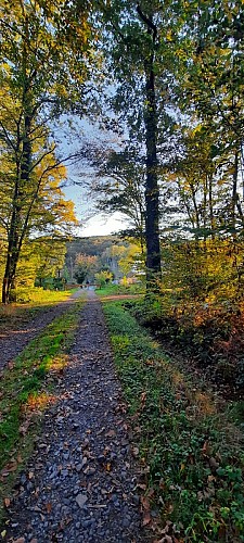 Mazille randofiche @V CECCOTTO (7)