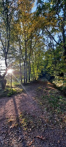 Mazille randofiche @V CECCOTTO (3)