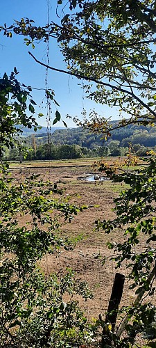 Mazille randofiche @V CECCOTTO (1)