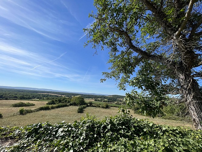 De la forêt au coteau