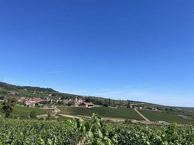 De la forêt au coteau