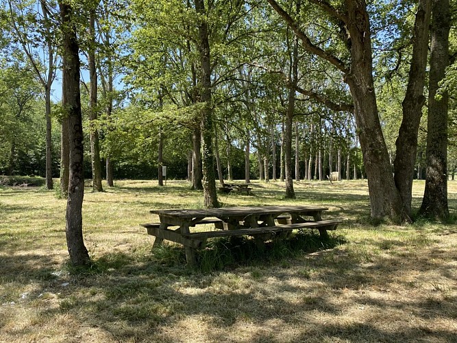 De la forêt au coteau