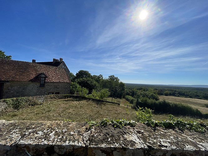 De la forêt au coteau