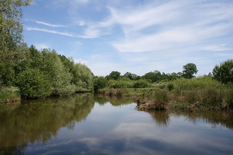 Marais de Montceaux L'Étoile