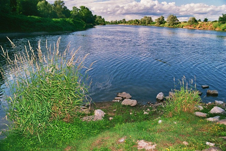 Fleuve de la Loire