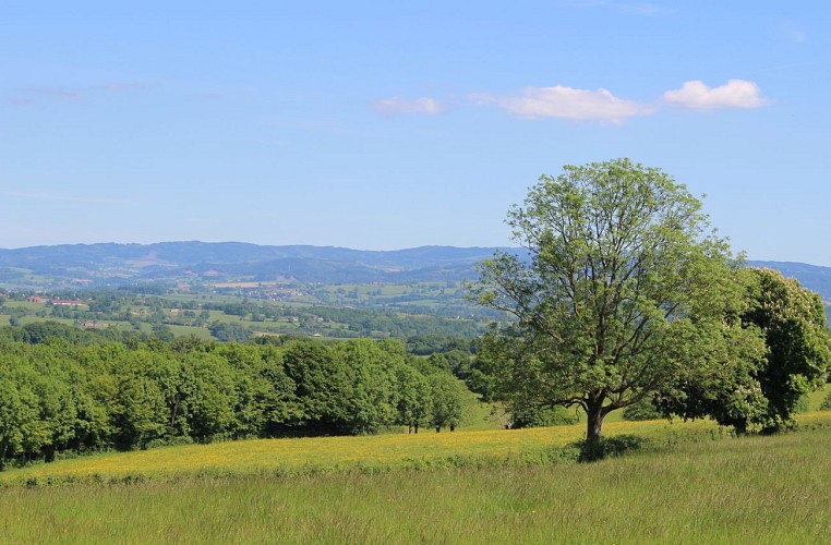 Bocage Brionnais